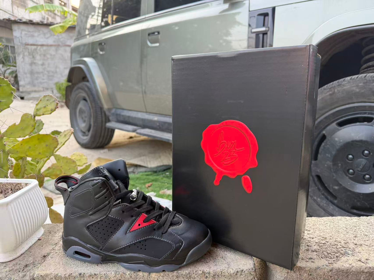 Air Jordan 6 Sneakers – New Colorway