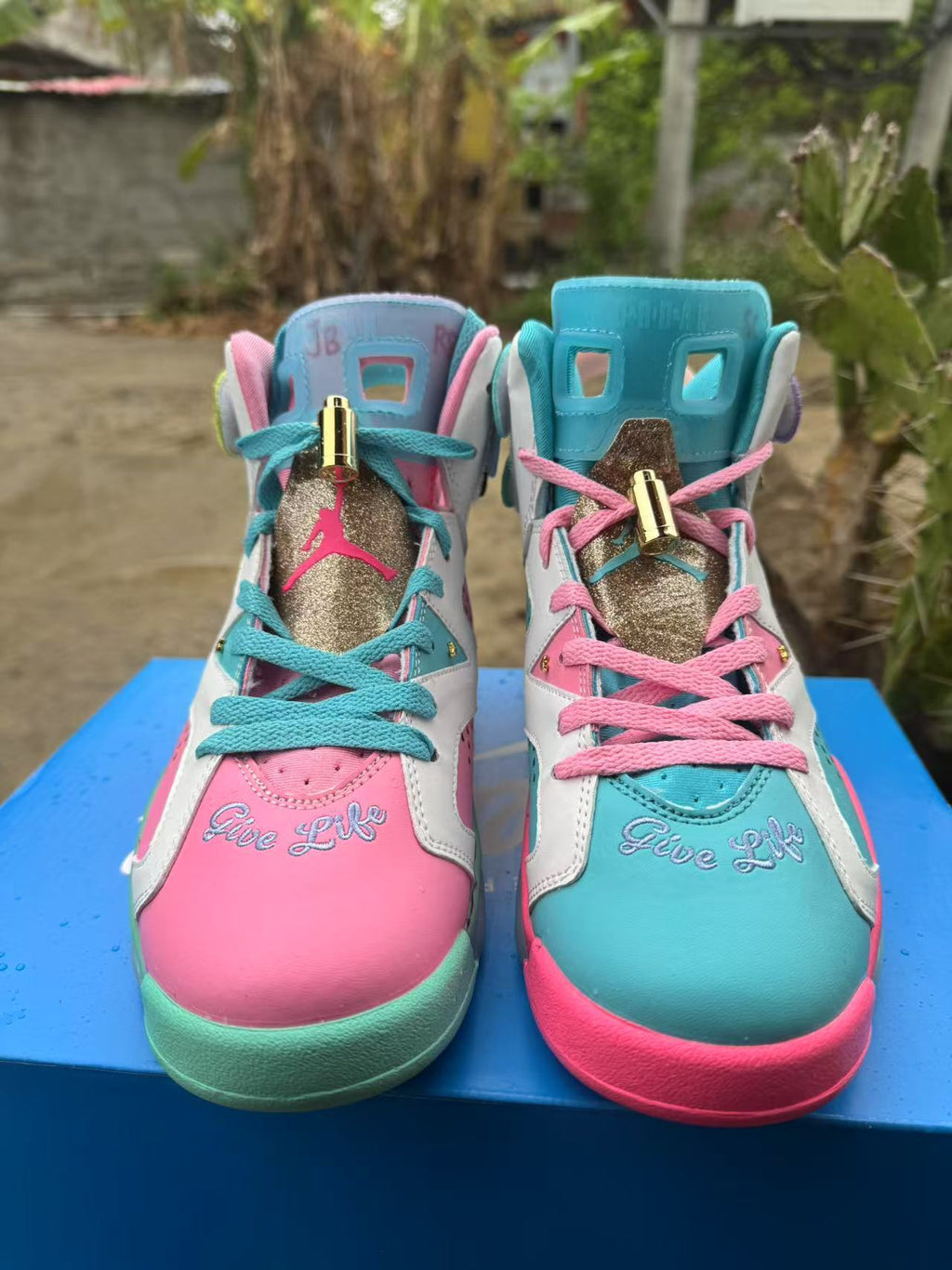 Air Jordan 6 Retro Sneakers – Blue & Pink