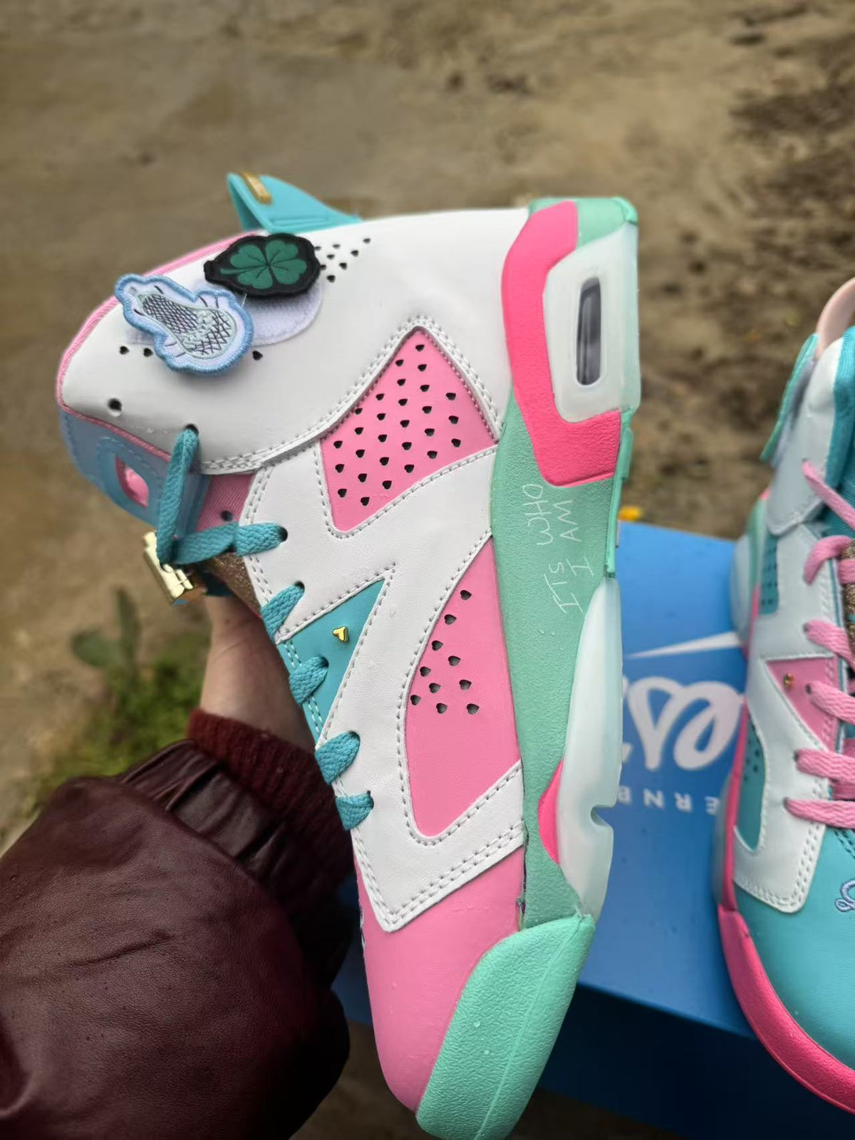 Air Jordan 6 Retro Sneakers – Blue & Pink