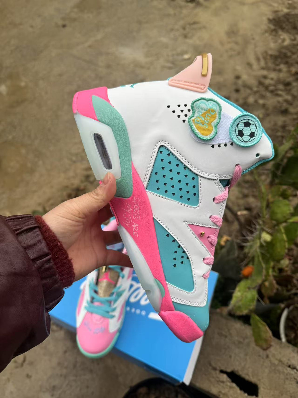 Air Jordan 6 Retro Sneakers – Blue & Pink